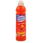 Fruit Punch Tropical Fantasy (665 ml)